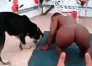 Sweetest doggy and adorable ebony