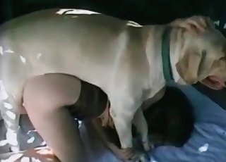Busty bombshell in a zoo sex vid
