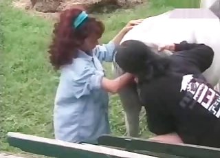 Horse anus gets fisted