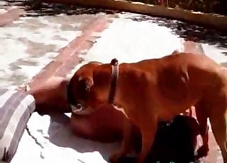 Good blowjob for a nice doggy