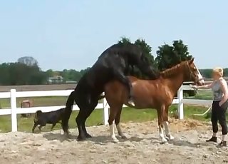 Outdoors action with sexed-up animals