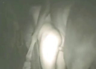 One of the hottest zoo vids ever