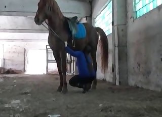 The star of this video is a horse that shits in the barn