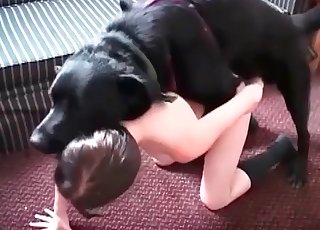 Oral fucking for a zoophile and a really horny animal
