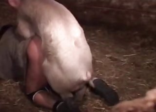Sexy big pig fucks a slender young hottie