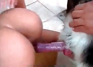 Astonishing zoophile adores zoophilic sex