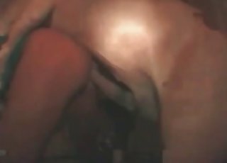 Small wet twat fucked hard by a huge pony