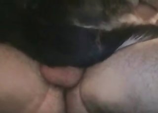 Bestial buttfuck fucky-fucky activity with a German dog