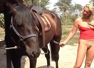 Two splendid horses and lovely blonde