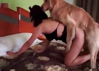 Zoophilia porn with a masked hottie