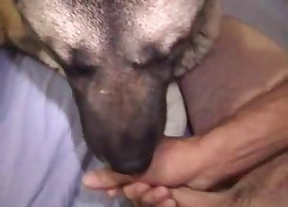 Husky fucked hard in the ass