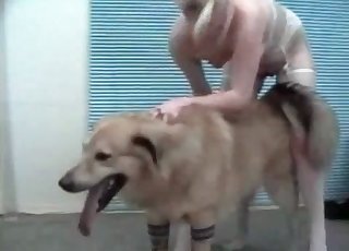 Huge hairy dog and slim bitch