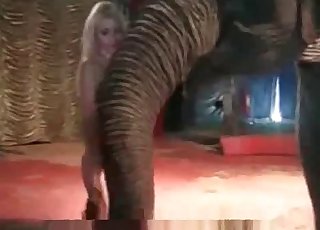 Elephant and fully naked zoophile